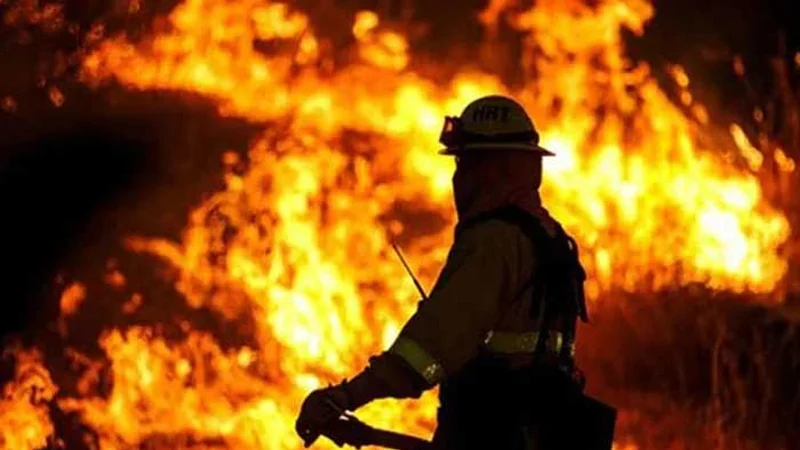 মুক্তিযোদ্ধার বাড়িত আগুন দিল দুর্বৃত্তরা, স্ট্রোকে স্ত্রীর মৃত্যু